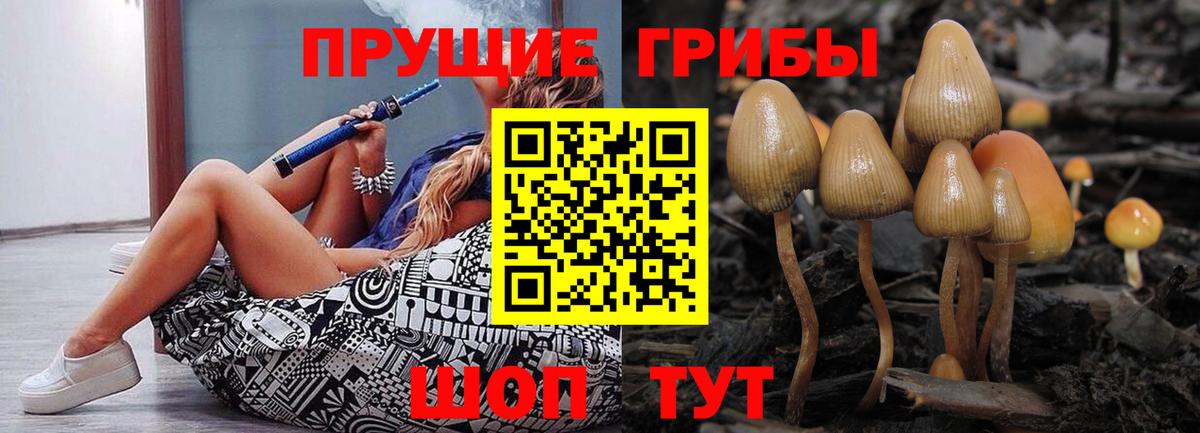 Псилоцибиновые грибы прущие грибы  Вход с VPN  Железногорск 